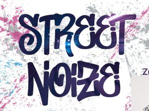 Logo von Streetnoize, dem Podcast von Digital Streetwork