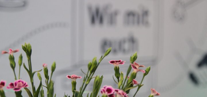 Blumen vor dem Plakat: wir mit euch!
